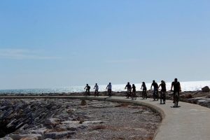 seafood bike tour