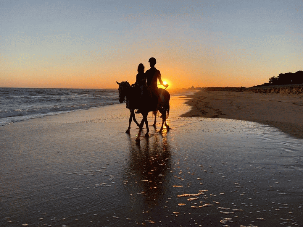 Sunset Horse Riding on the Beach
