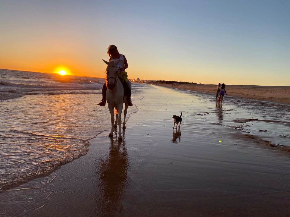 Horse Riding on the Beach